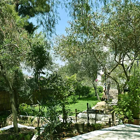 Matiz (adults Only) בית אירוח