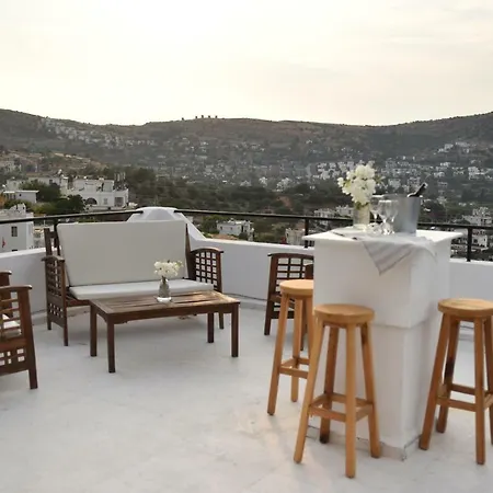 Matiz (adults Only) *