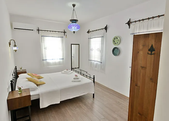 Проживание в семье Matiz (adults Only) *