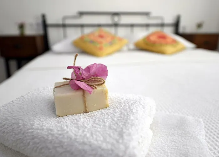 Matiz (adults Only) *