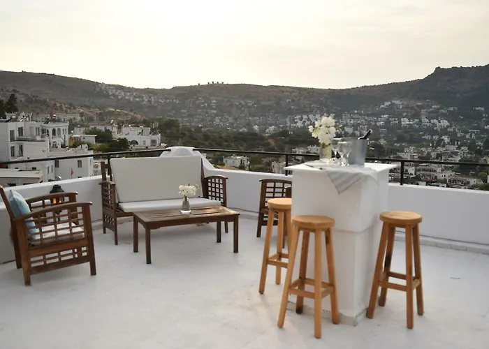 Matiz (adults Only) *