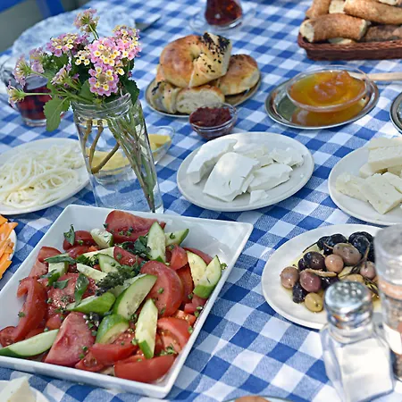 Homestay Matiz (adults Only)