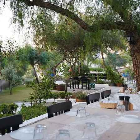 Matiz (adults Only) Проживание в семье *