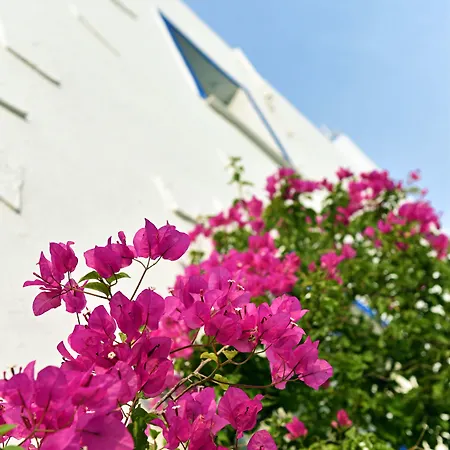 Accommodatie bij particulieren Matiz (adults Only) Göltürkbükü