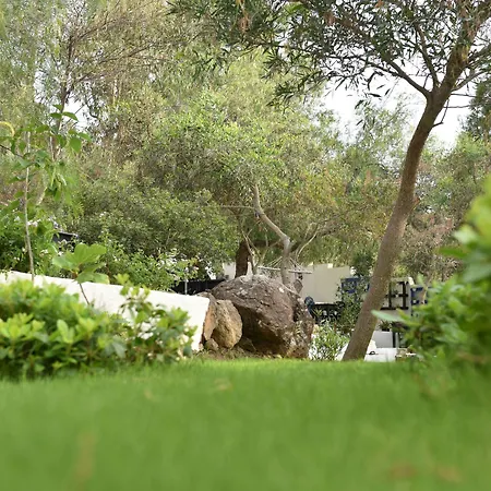 Matiz (adults Only) Проживание в семье *