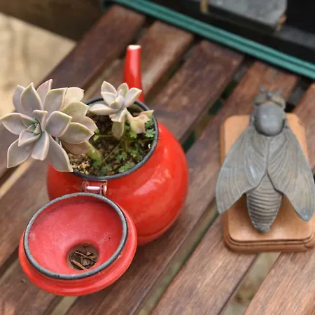 Matiz (adults Only) Accommodatie bij particulieren *