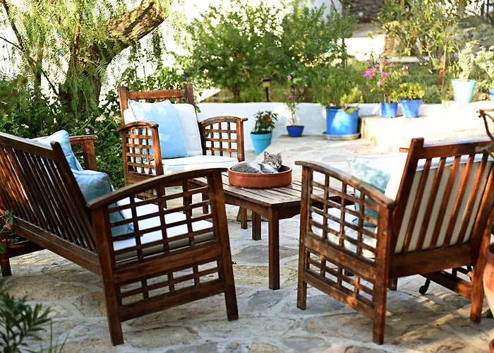 Matiz (adults Only) * Golturkbuku