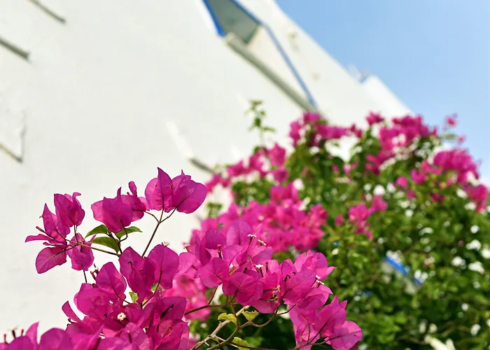 Alloggio in famiglia Matiz (adults Only) Golturkbuku