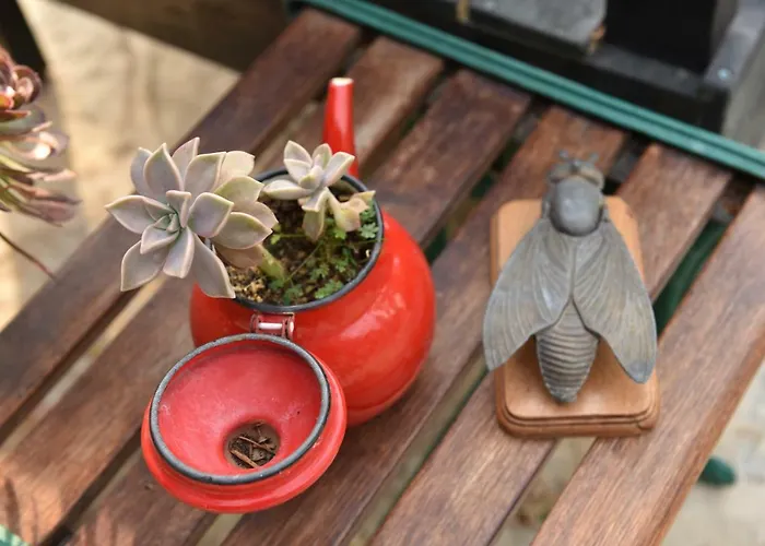 Matiz (adults Only) בית אירוח *